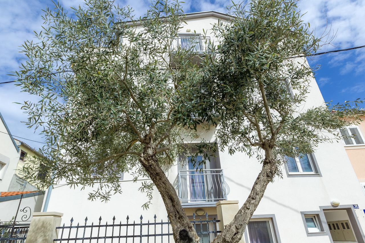 Apartments In City Center Ventus Novalja Exterior photo